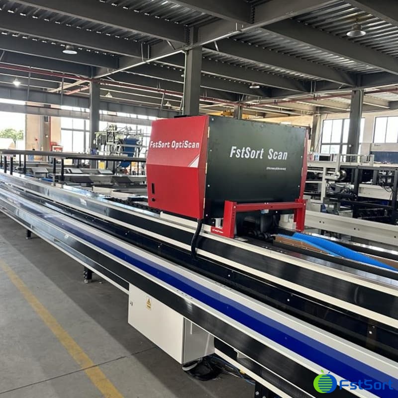 línea de clasificación óptica de frutas.jpg línea de clasificación óptica de frutas.jpg